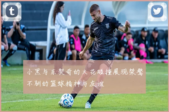 小黑与东契奇的火花碰撞展现桀骜不驯的篮球精神与友谊