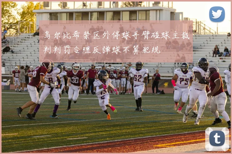乌尔比希禁区外停球手臂碰球主裁判判罚合理反弹球不算犯规