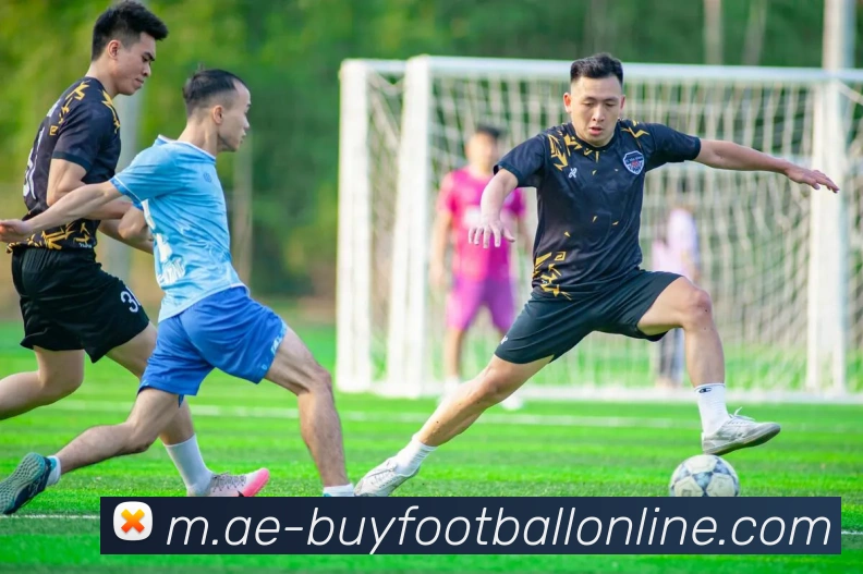 在线买球网站服务体系